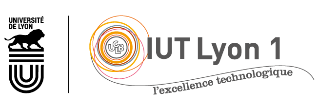 Présentation entreprise – IUT Lyon 1